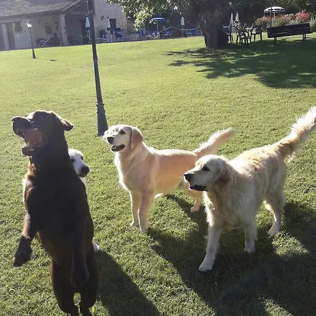 לינה וארוחת בוקר Parco Ducale