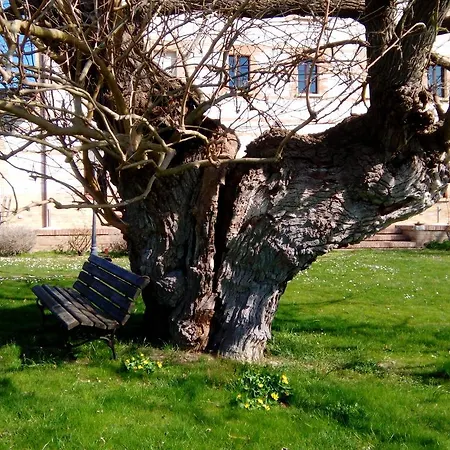 Parco Ducale 4*