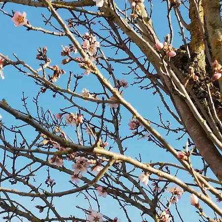 Nocleg ze śniadaniem Parco Ducale 4*