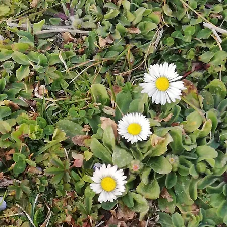 Parco Ducale